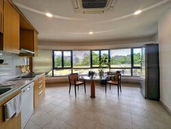 The Draycott (D10), Apartment #502440831